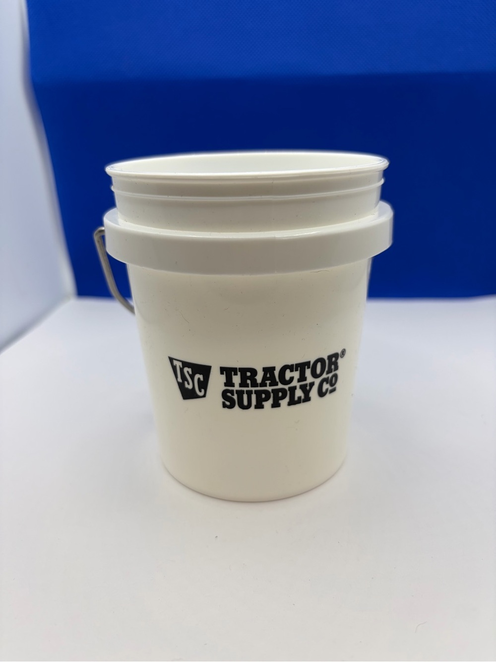 Tractor Supply Co Food Grade Mini Bucket Pail with Metal Handle White